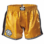 Muay Thai Box Shorts Evolution gold